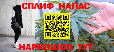 индика Заволжье