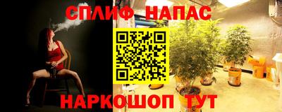 индика Заволжье