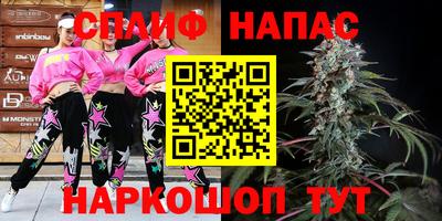 индика Заволжье